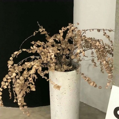 中阳FurryQQ群介绍